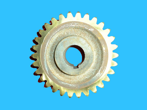 Worm gear